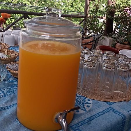 Mio Tulum Hotel Boutique Exterior foto A glass dispenser of freshly squeezed orange juice